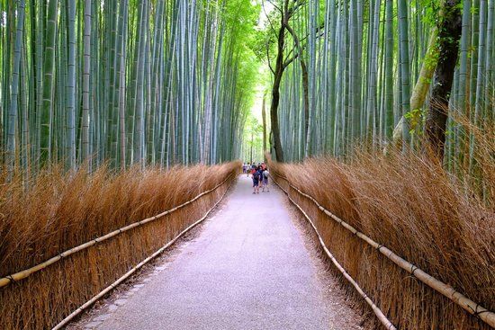 Arashiyama
